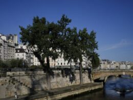 Paris officials are confident water quality will improve to let Olympians swim in the Seine