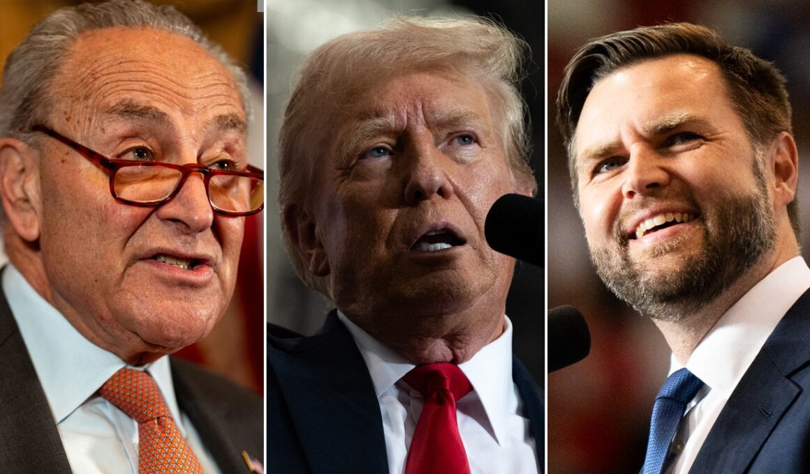 Schumer calls on Trump to pick new running mate, claims Vance is ‘best thing he’s ever done for Democrats’