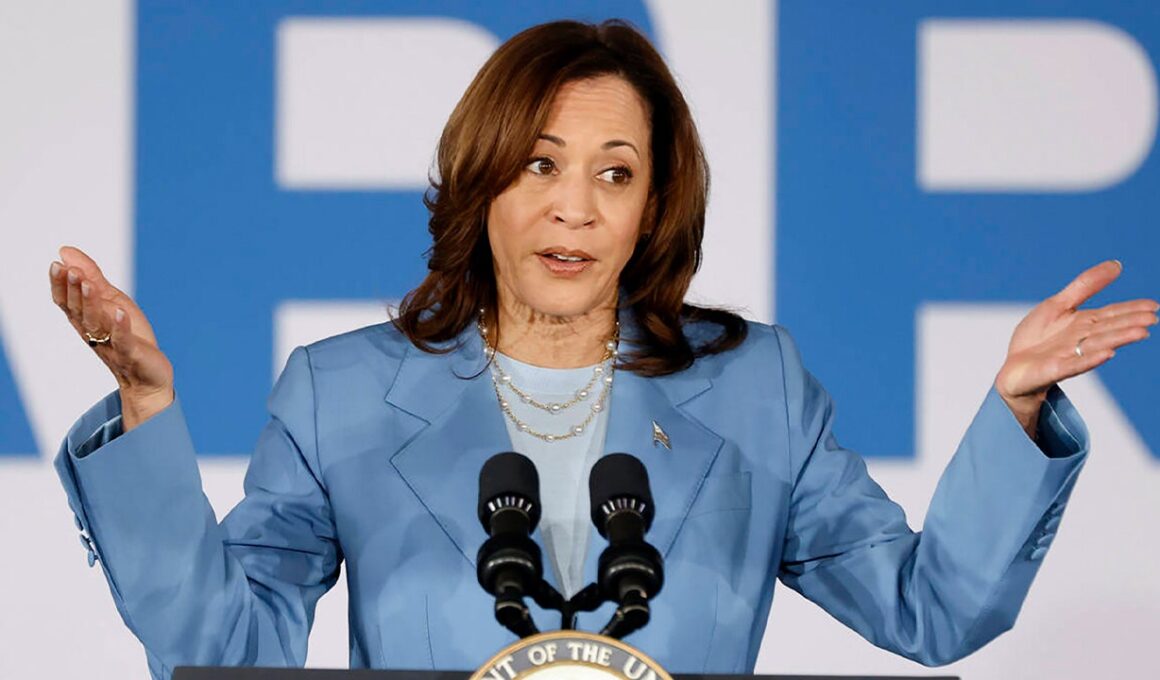 State elections chief demands DNC stop using Ohio to justify virtual meeting to coronate Harris