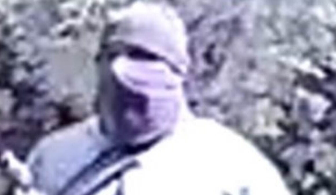 Has the ‘Night Watcher’ struck yet again? Prolific masked robber is suspected of a new raid, seizing 50 jewels worth £2million after ‘breaking into a woman’s home and pistol-whipping his victim’