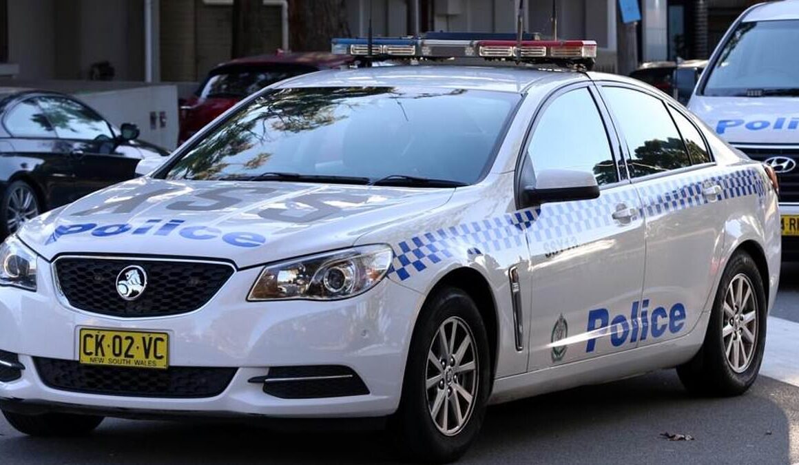 Man charged after he allegedly stabbed the family dog in Narrabri, NSW