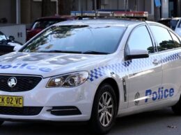 Man charged after he allegedly stabbed the family dog in Narrabri, NSW