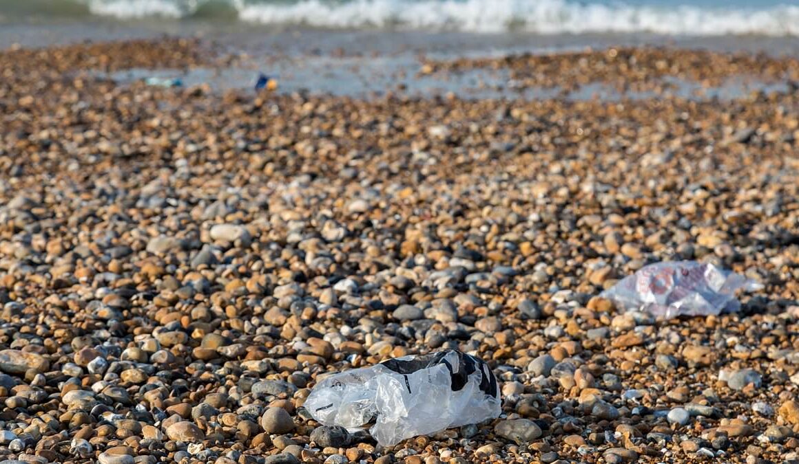 Plastic bags found on beaches drop 80% in a decade after Mail’s pioneering campaign to ban them