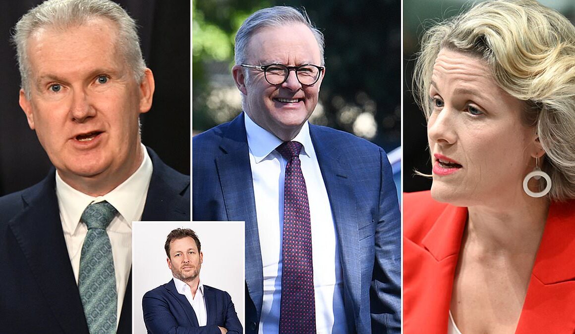 PETER VAN ONSELEN: Why you just have to LAUGH at Anthony Albanese’s new reshuffled line-up – as he guarantees a big name will fail again