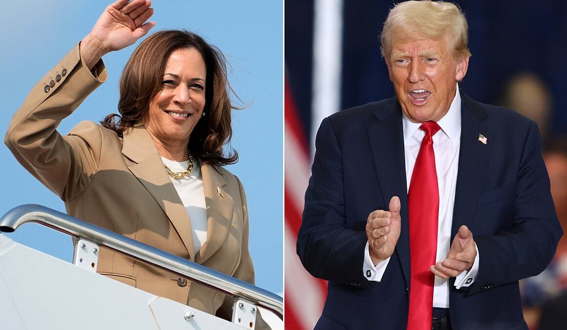 The running mate Kamala Harris MUST choose to have any chance of beating Trump… and he is one Republicans fear