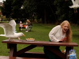 So what is a seagull’s favourite food? From Greggs to McDonald’s and a Tesco sandwich… brave MailOnline reporters reveal which High Street lunch is most dangerous – see if YOURS will get you targeted by gulls
