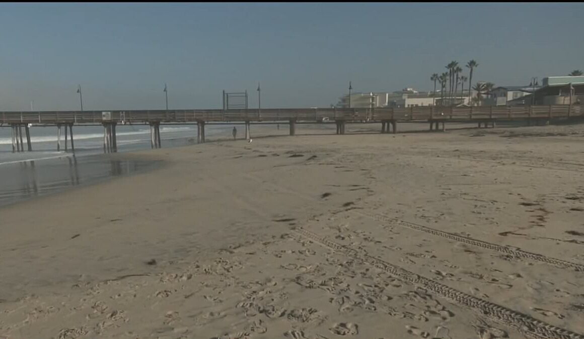 Wave of beaches are shut after disgusting discovery as officials order swimmers to get out of the water NOW