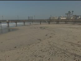 Wave of beaches are shut after disgusting discovery as officials order swimmers to get out of the water NOW