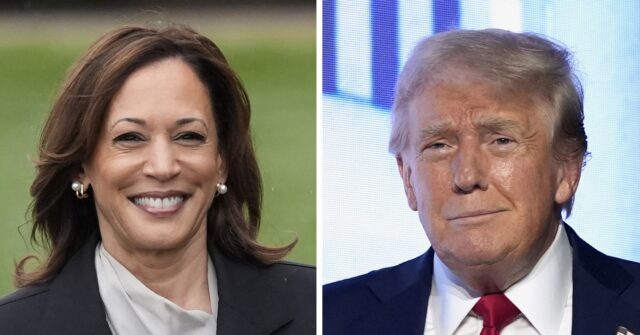 Trump and Harris enter 99-day sprint to decide an election that has suddenly transformed