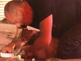 Emotional moment sobbing LA man is reunited with gasping cat that had just been rescued from house inferno