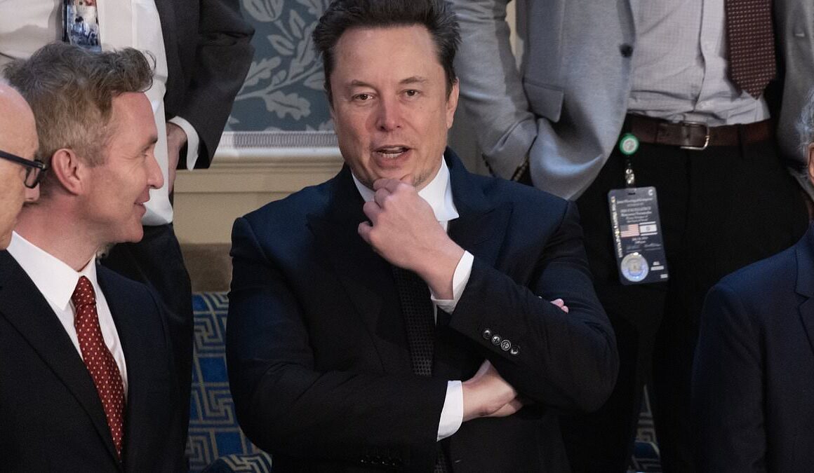 Elon Musk calls for America to follow Britain as court upholds ban on puberty blockers for children after billionaire vowed to destroy the ‘woke mind virus’ that ‘killed’ his son when he transitioned into a woman