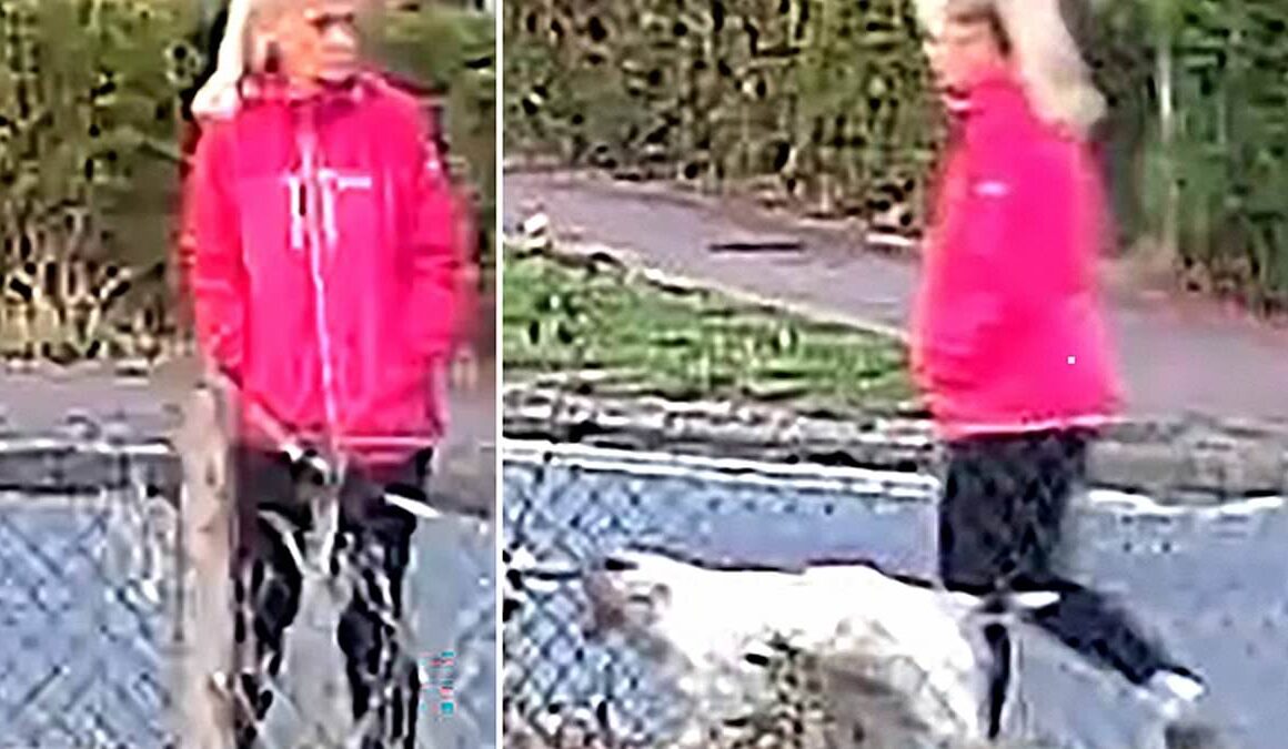 Detectives continue search for missing pink jacket murdered mother-of-six, 57, was wearing before she was attacked on country path near railway line – as police urge train passengers who may have seen what happened to come forward