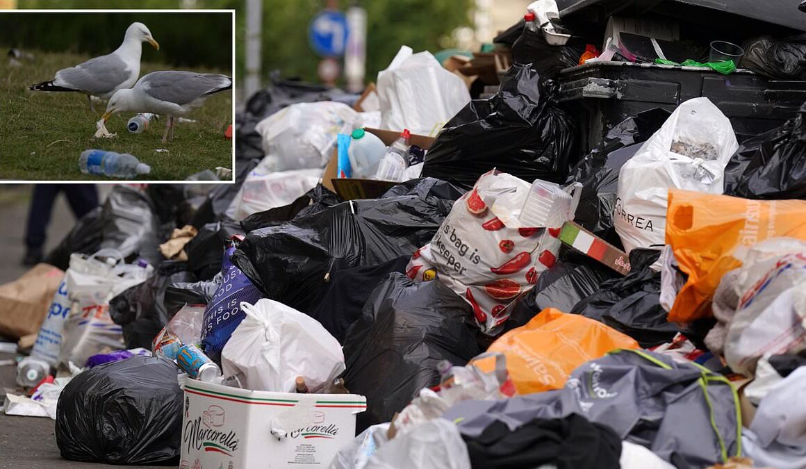 Mountains of waste could pile up on Scots streets within days as unions confirm bin strikes will go ahead