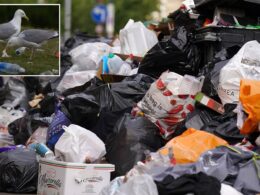 Mountains of waste could pile up on Scots streets within days as unions confirm bin strikes will go ahead