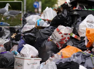 Mountains of waste could pile up on Scots streets within days as unions confirm bin strikes will go ahead