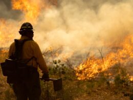 California wildfires rage on, firefighters struggle to contain massive Park Fire