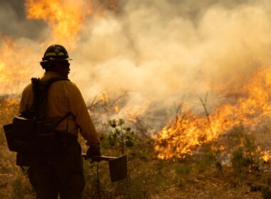 California wildfires rage on, firefighters struggle to contain massive Park Fire