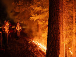 Photos of the California Park Fire