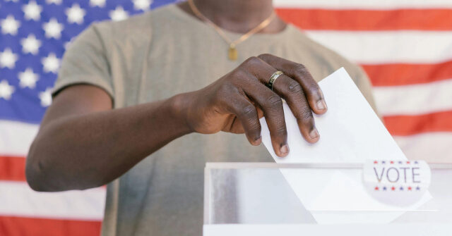 Georgia Democrats and Republicans Find Common Ground, Demand Switch to Paper Ballots