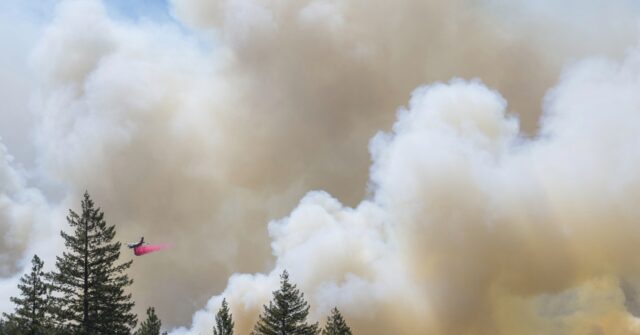 Wildfire smoke may be worse for your brain than other air pollution, study says