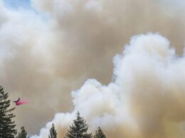 Wildfire smoke may be worse for your brain than other air pollution, study says