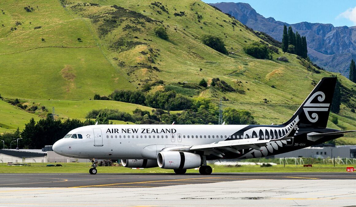 Air New Zealand makes controversial major call on 2030 carbon emissions targets