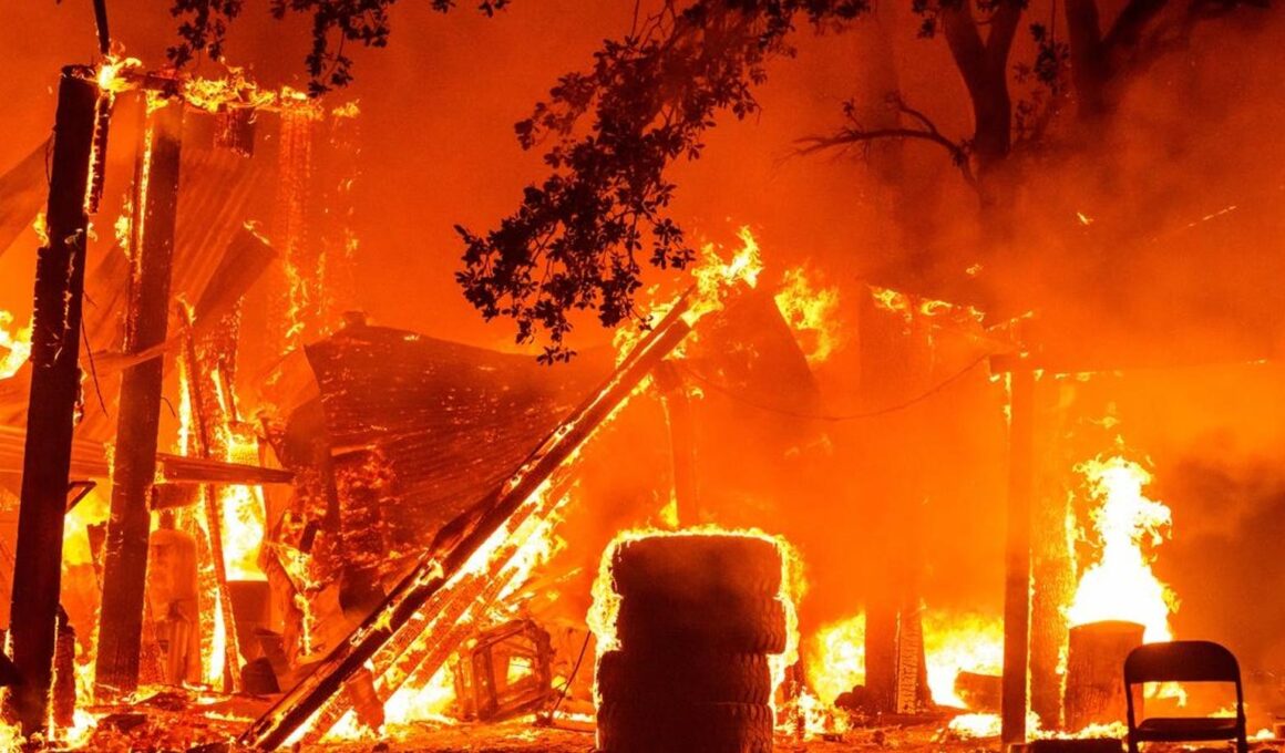 California Wildfire: Park Fire Now Sixth-Biggest In State History (Photos)