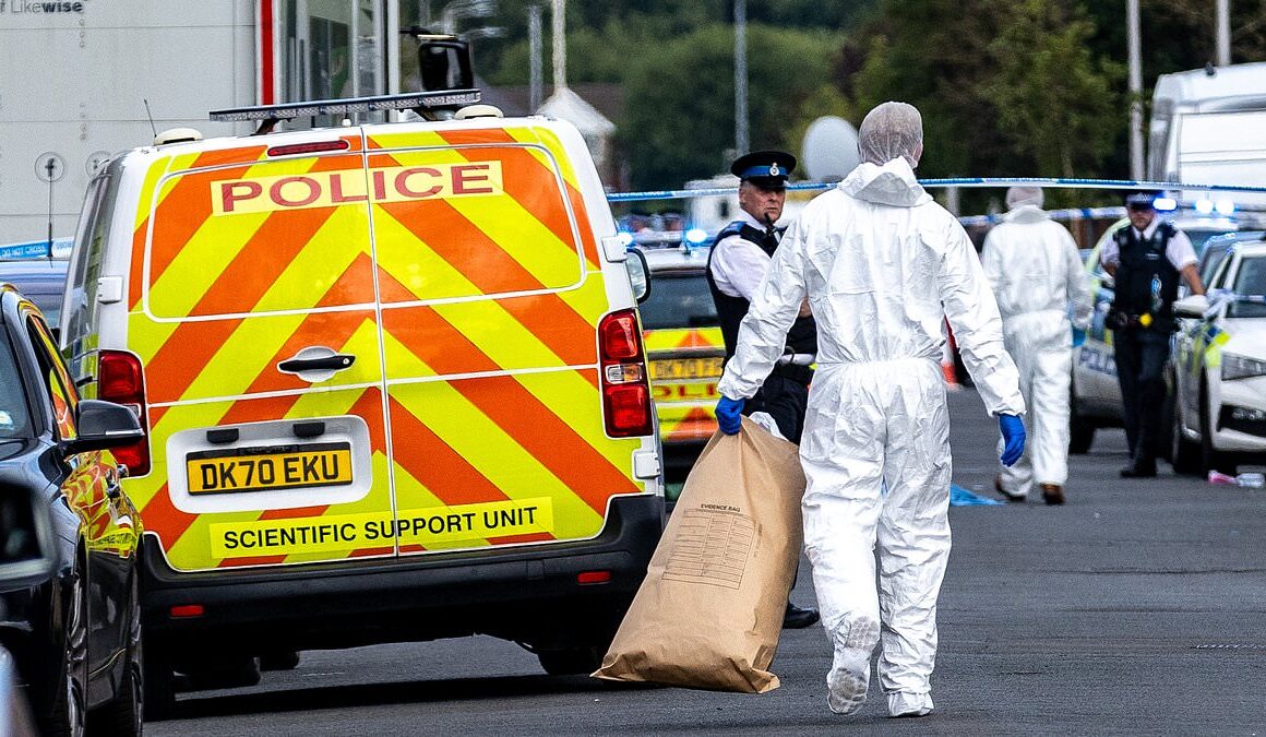 How day of unimaginable tragedy unfolded on the streets of Southport: Masked killer prowled houses before ambushing Taylor Swift-themed dance class where he murdered children in 20-minute reign of terror