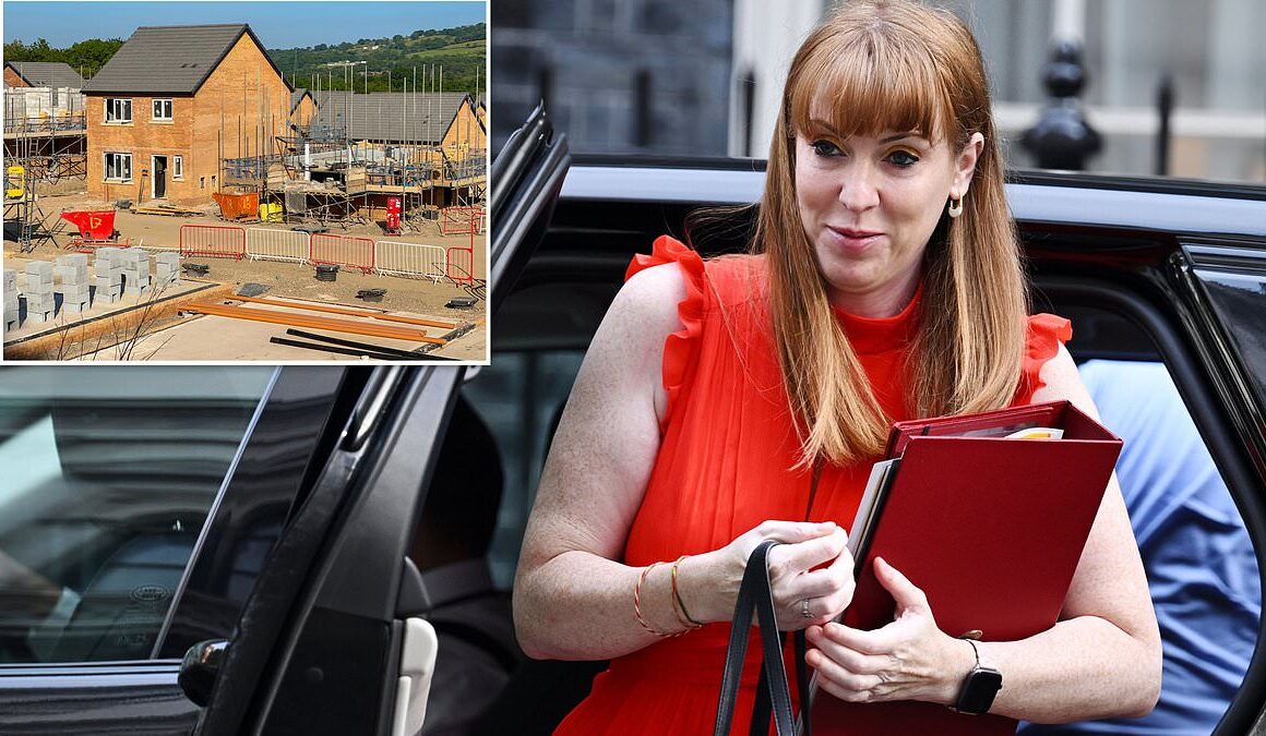 The Red revolution for housing: Angela Rayner vows top-down targets to force through building 1.5m homes with green belt downgraded and planning rules ripped up to stop local people objecting