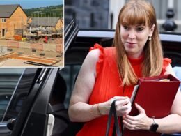 The Red revolution for housing: Angela Rayner vows top-down targets to force through building 1.5m homes with green belt downgraded and planning rules ripped up to stop local people objecting