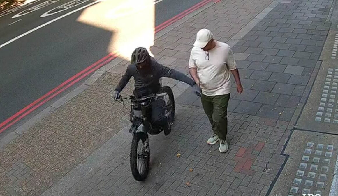 Moment brazen phone thief on electric bike snatches a mobile from unsuspecting man’s hand in Hyde Park