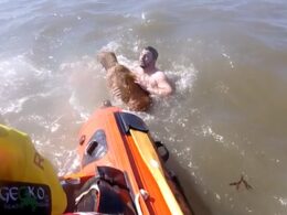 Moment coastguard rescue dogwalker and his pet after the pair are swept out to sea when cut off by the tide