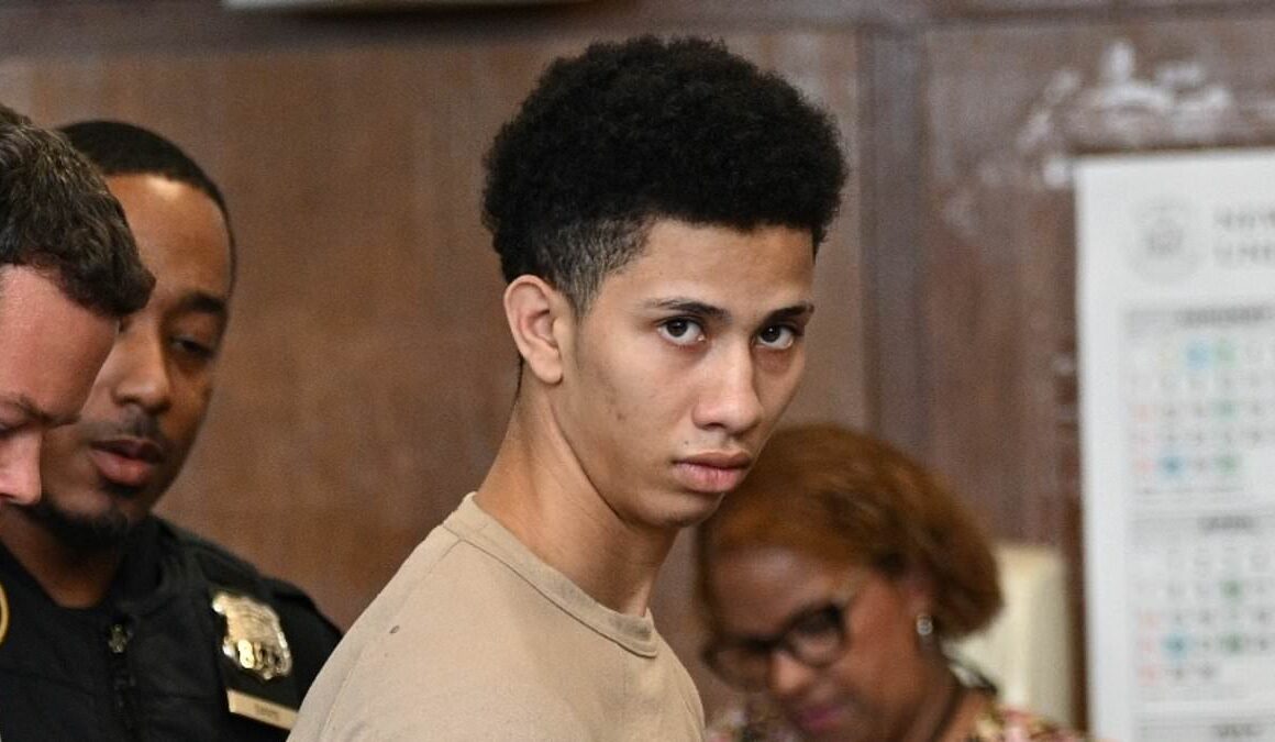 Shame-faced migrant, 19, takes plea deal for beating up NYPD cop in Times Square – as the very light sentence he now faces is revealed