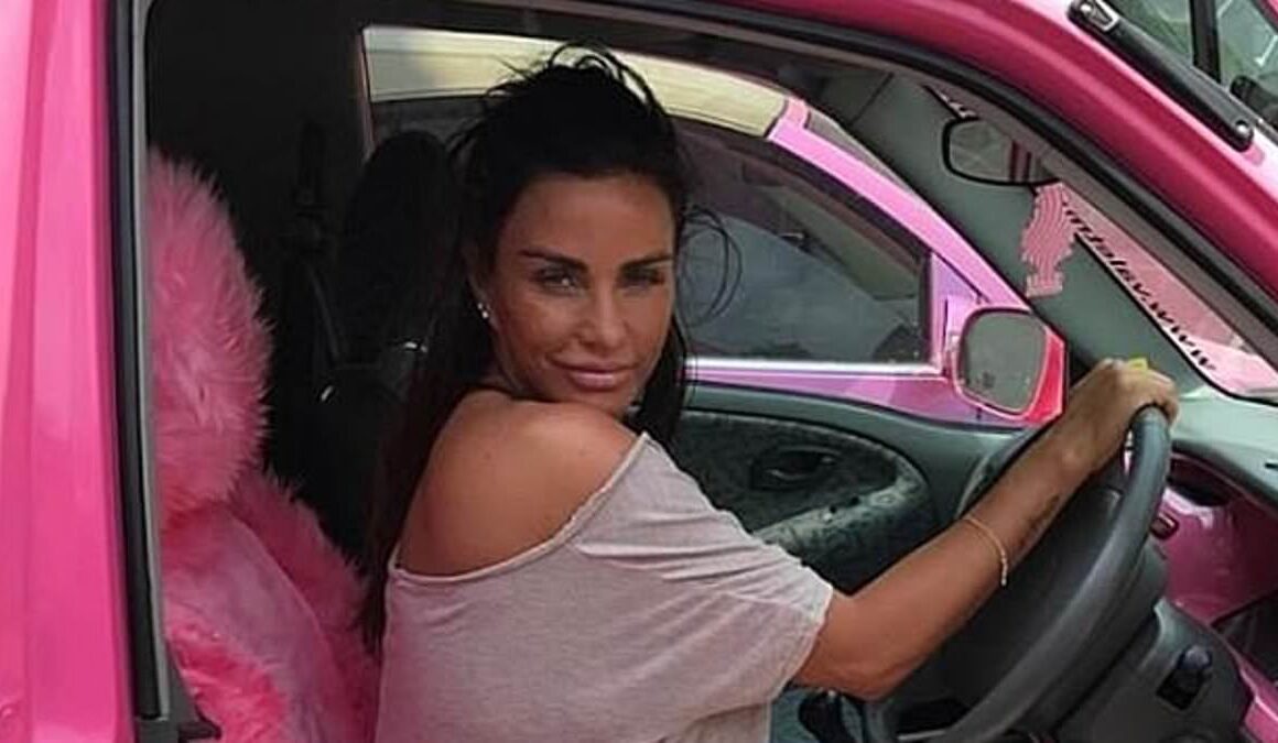 Katie Price is ordered to give up her pink Range Rover and five other cars minutes after judge issues arrest warrant for the former glamour model as she fails to attend court for bankruptcy hearing ‘after flying to Turkey for more surgery’