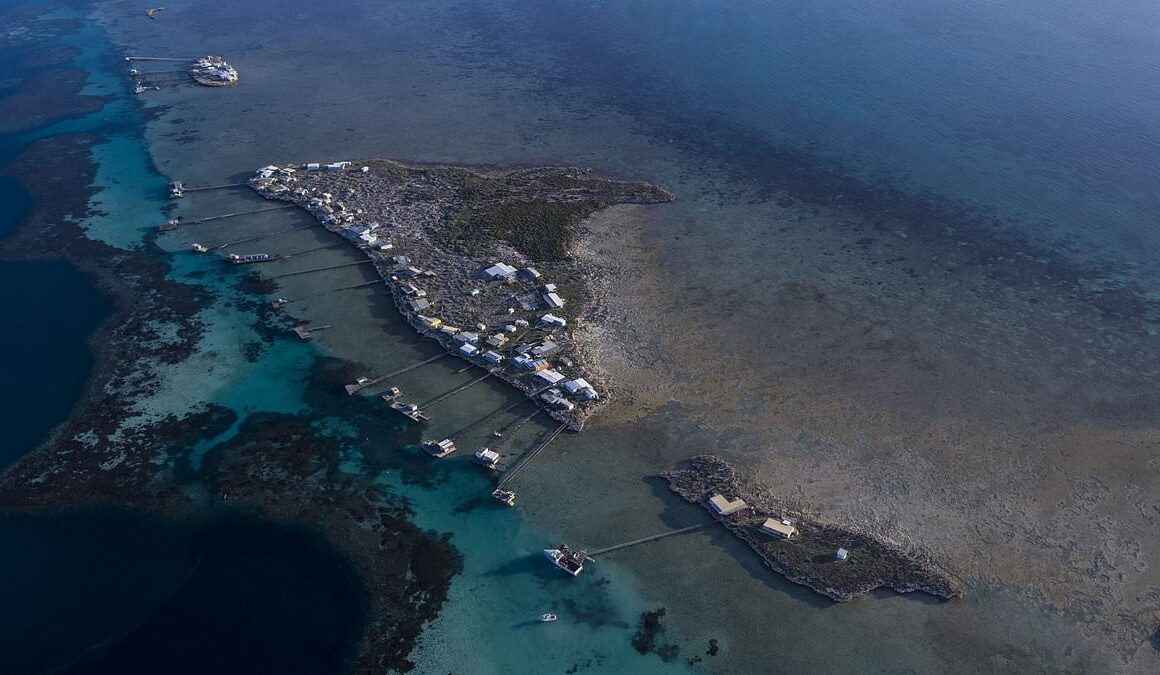 Woman in her 30s is seriously injured in shark attack off the coast of Western Australia