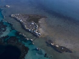 Woman in her 30s is seriously injured in shark attack off the coast of Western Australia