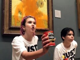 Is this Britain’s most annoying activist? Privately-educated vegan Just Stop Oil poster girl, 22, who compares herself to Martin Luther King causes nuisance at Heathrow – days after being told she faces jail for Van Gogh soup stunt