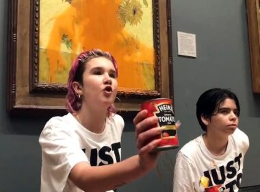 Is this Britain’s most annoying activist? Privately-educated vegan Just Stop Oil poster girl, 22, who compares herself to Martin Luther King causes nuisance at Heathrow – days after being told she faces jail for Van Gogh soup stunt