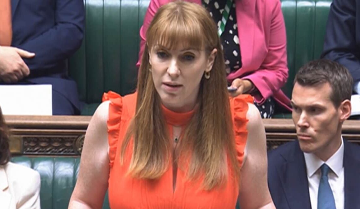 Home counties to bear the brunt of Labour’s ‘green belt’ housing bonanza: Angela Rayner threatens to step in if councils let local people block construction targets as she demands 370,000 homes a year – and says areas with highest prices must build more