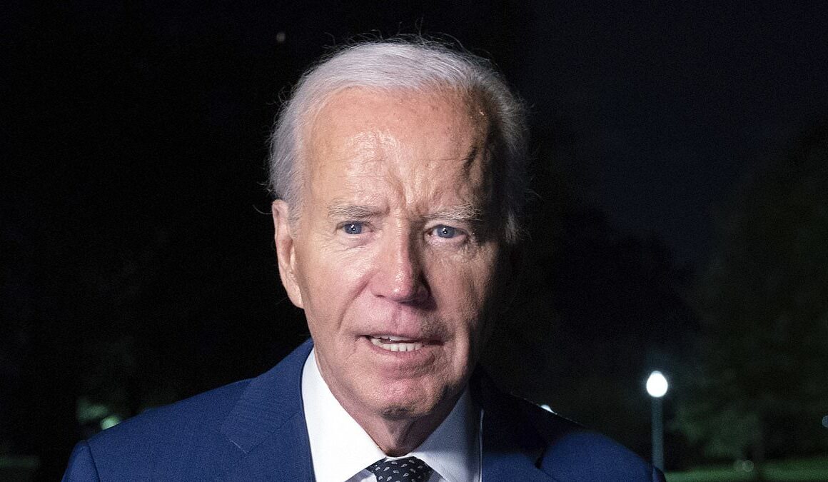 Joe Biden according to internet conspiracy theorists: bizarre new claims about the president emerge