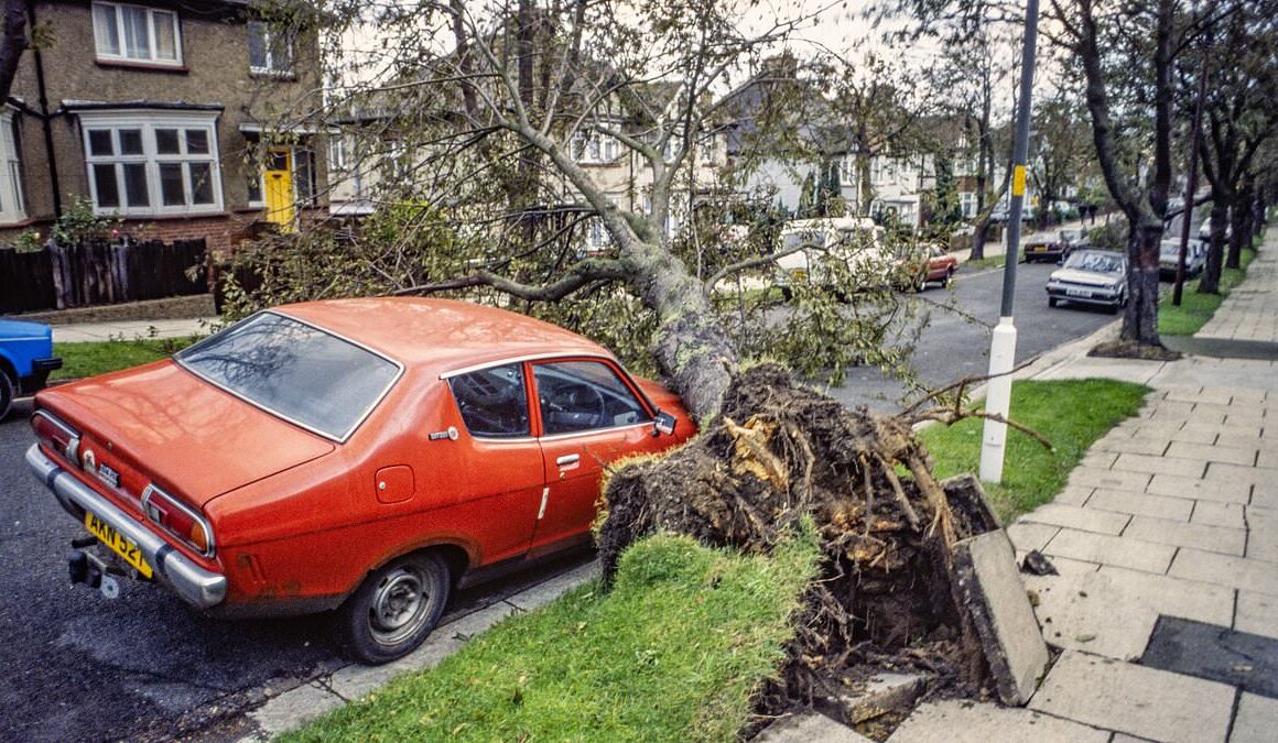 The storm that Britain thought was nuclear war: Relive the carnage of October 15 1987 as 18 were killed and the country lost fifteen million trees… and all faith in Michael Fish