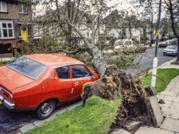 The storm that Britain thought was nuclear war: Relive the carnage of October 15 1987 as 18 were killed and the country lost fifteen million trees… and all faith in Michael Fish