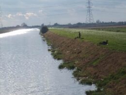 Specialist divers from the Met Police join hunt for teenager who is still missing after his canoe capsized near King’s Lynn