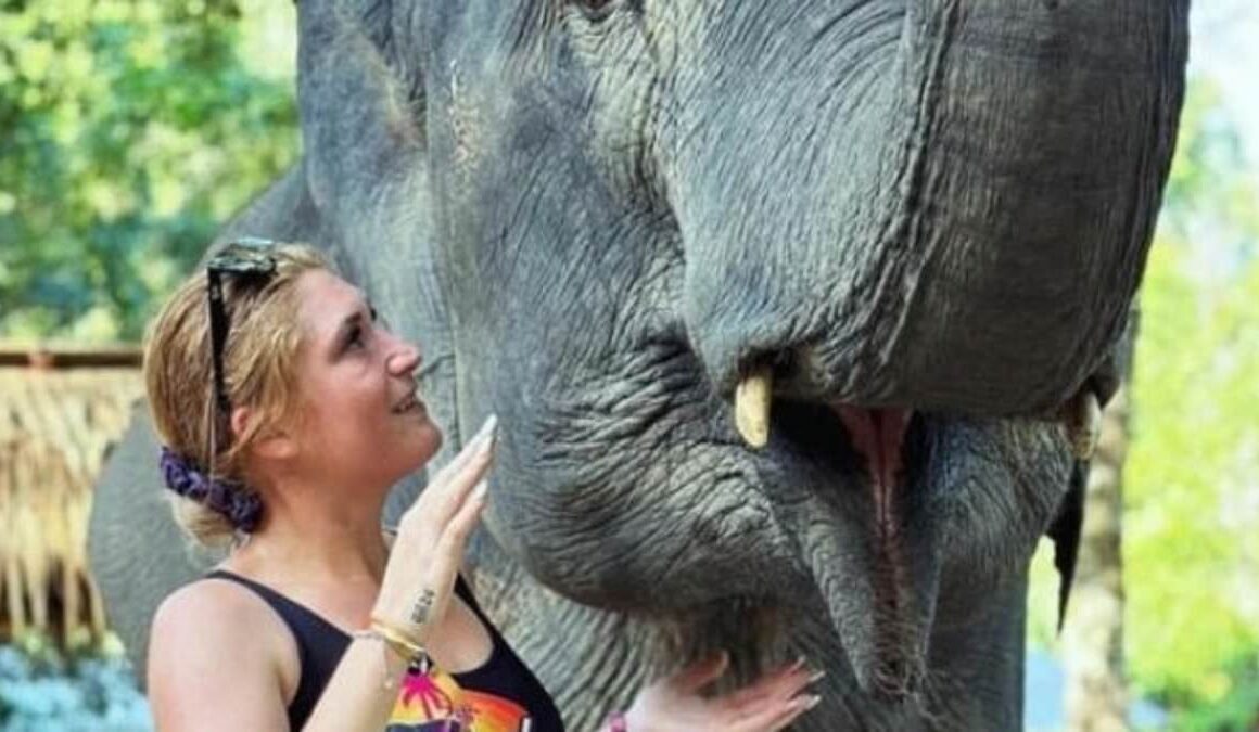 Pillar Valley crash: Single mum Maddi Hambly fights for life after horror crash