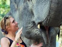 Pillar Valley crash: Single mum Maddi Hambly fights for life after horror crash
