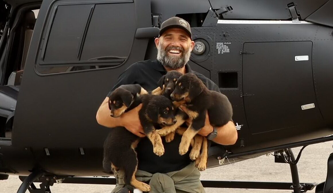 Adorable moment Rottweiler puppies run wild in rescue helicopter after being saved from California wildfire