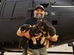 Adorable moment Rottweiler puppies run wild in rescue helicopter after being saved from California wildfire