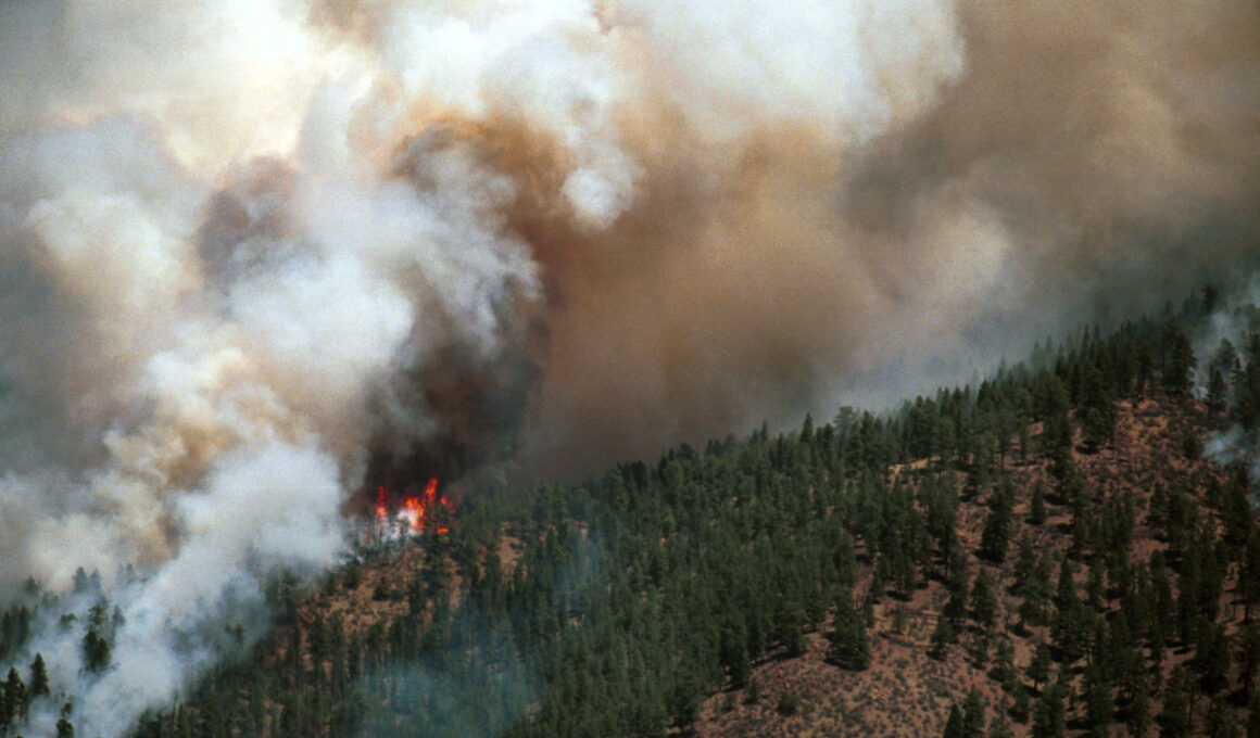 Colorado Officials Use Drinking Water to Help Fight Alexander Wildfire