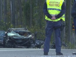 Pacific Highway crash at Charmhaven, NSW: Teenage boy dies