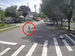 Terrifying dashcam shows four-year-old in just a diaper and tank top and clutching an iPad wandering into busy intersection – what happens next will warm your heart